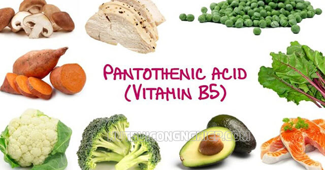 Vitamin b5 là gì