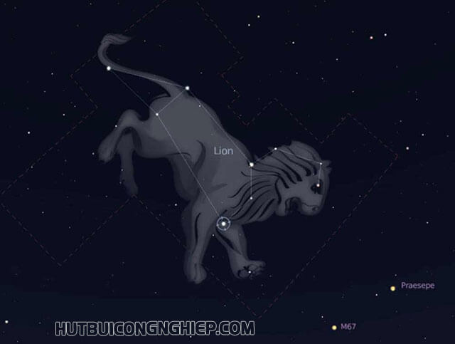 Các chòm sao trên trời - Chòm sao Sư tử